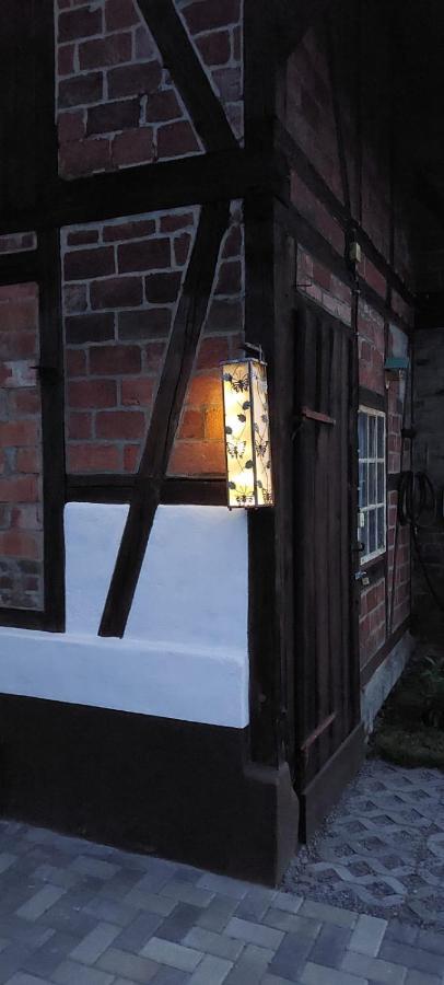 Ferienhaus Blaue Blume Mit 11 Kw Ladestation, Kamin, Terrasse, Eingezaeuntem Garten, Sauna, Wlan, Netflix, 2 Hunde Willkommen! Güntersberge Extérieur photo