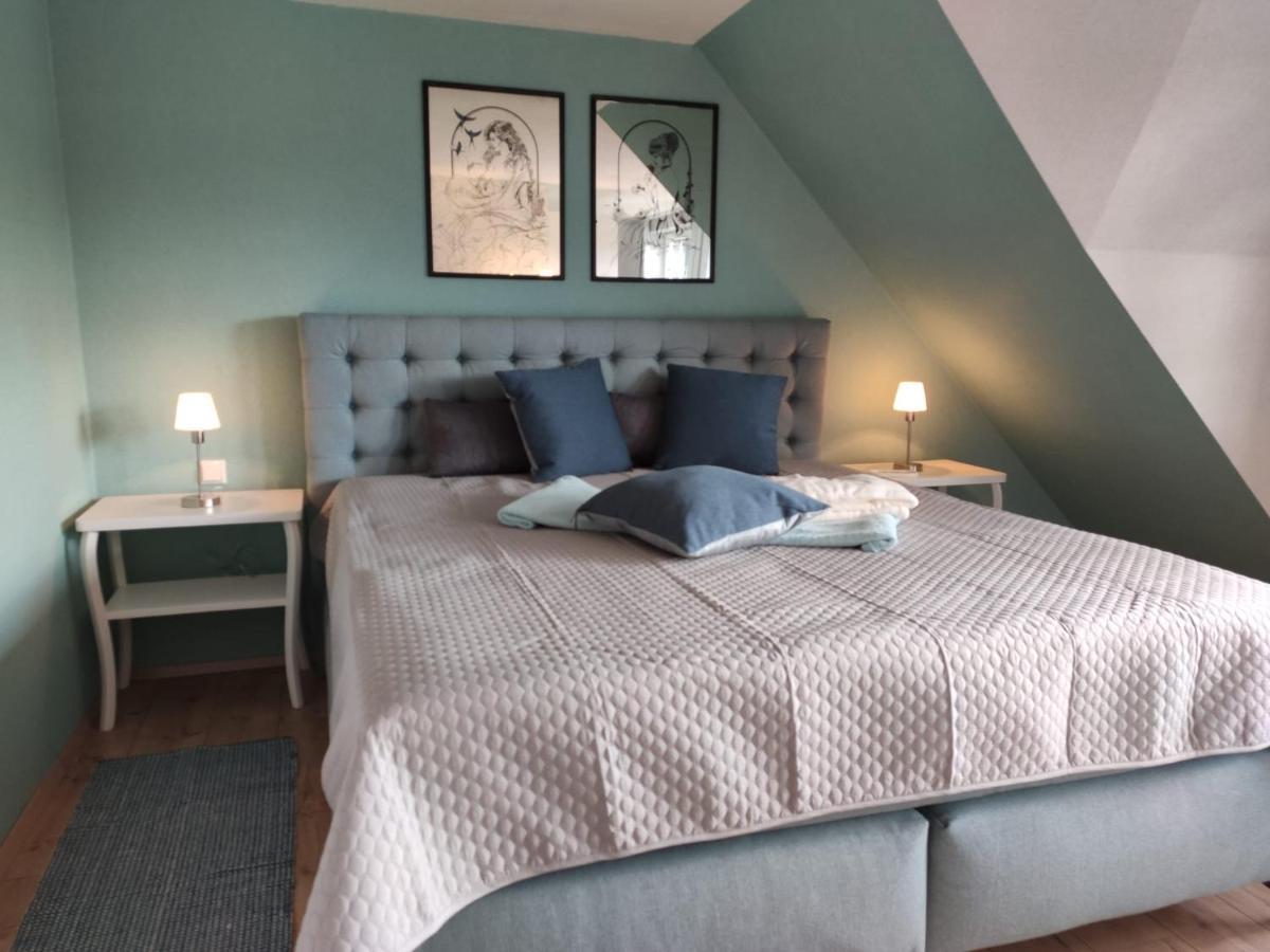 Ferienhaus Blaue Blume Mit 11 Kw Ladestation, Kamin, Terrasse, Eingezaeuntem Garten, Sauna, Wlan, Netflix, 2 Hunde Willkommen! Güntersberge Extérieur photo