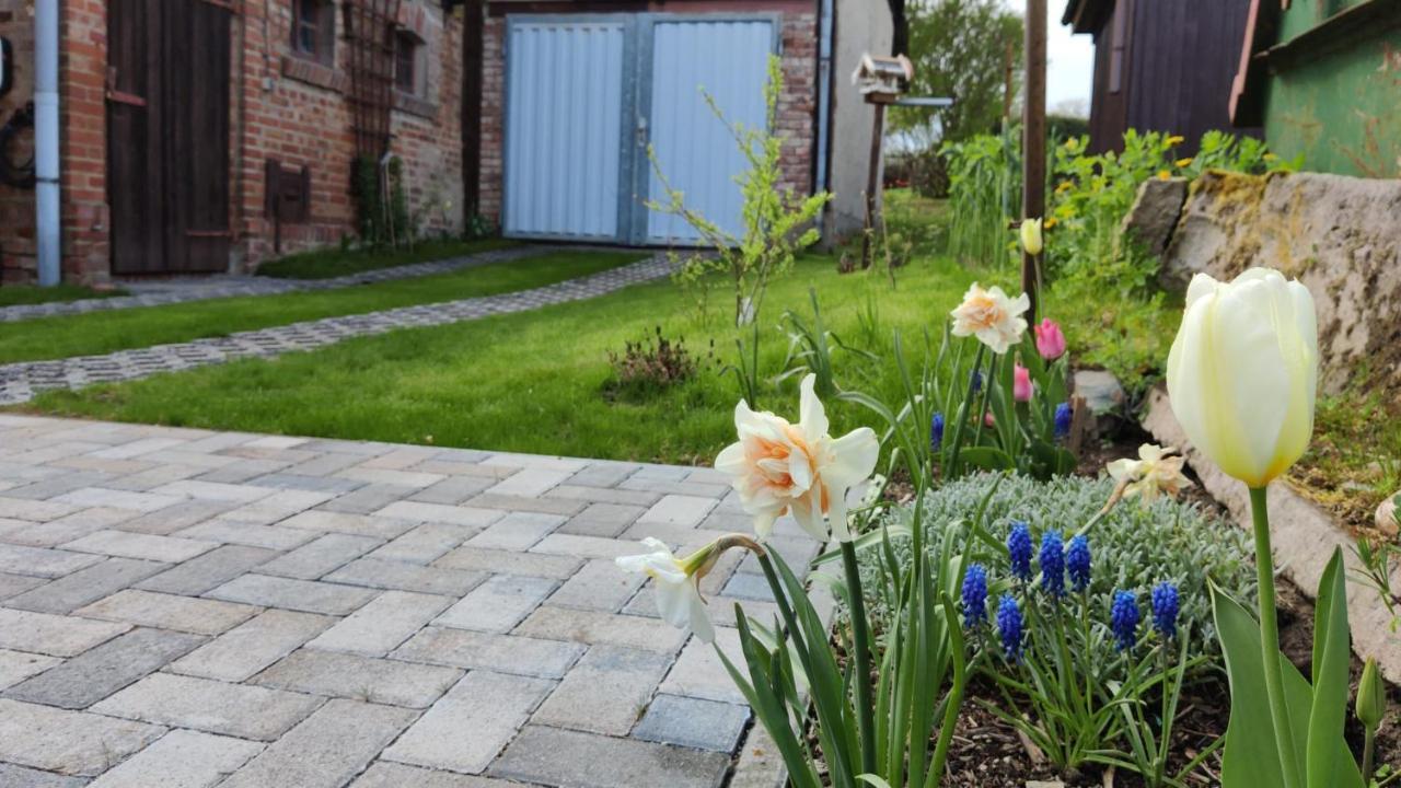 Ferienhaus Blaue Blume Mit 11 Kw Ladestation, Kamin, Terrasse, Eingezaeuntem Garten, Sauna, Wlan, Netflix, 2 Hunde Willkommen! Güntersberge Extérieur photo