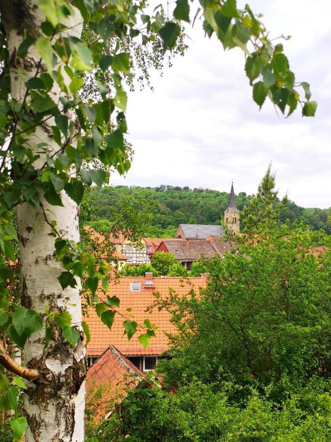 Ferienhaus Blaue Blume Mit 11 Kw Ladestation, Kamin, Terrasse, Eingezaeuntem Garten, Sauna, Wlan, Netflix, 2 Hunde Willkommen! Güntersberge Extérieur photo