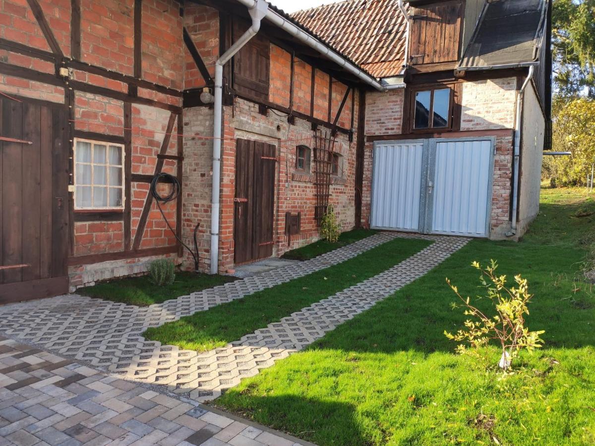 Ferienhaus Blaue Blume Mit 11 Kw Ladestation, Kamin, Terrasse, Eingezaeuntem Garten, Sauna, Wlan, Netflix, 2 Hunde Willkommen! Güntersberge Extérieur photo