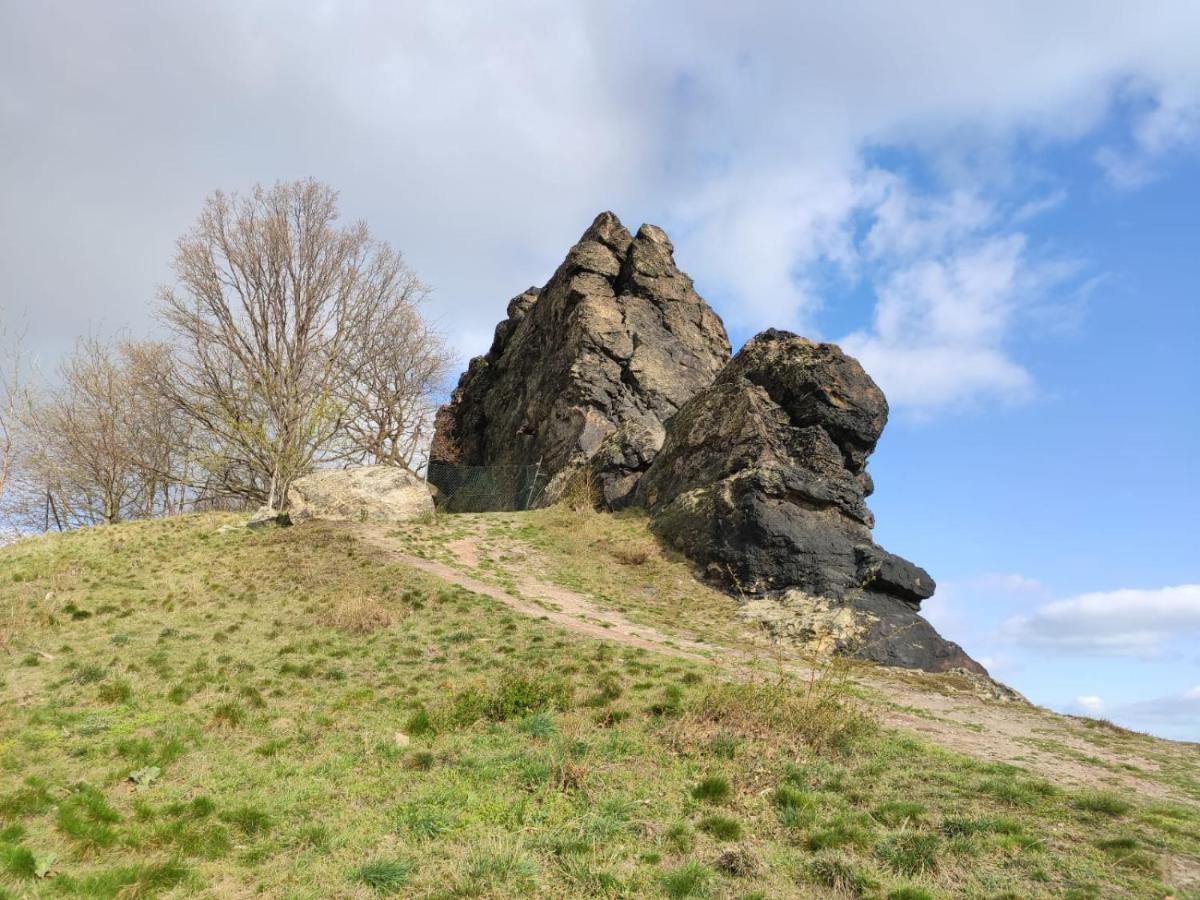 Ferienhaus Blaue Blume Mit 11 Kw Ladestation, Kamin, Terrasse, Eingezaeuntem Garten, Sauna, Wlan, Netflix, 2 Hunde Willkommen! Güntersberge Extérieur photo