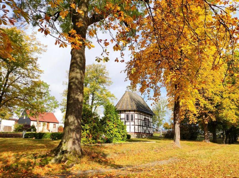 Ferienhaus Blaue Blume Mit 11 Kw Ladestation, Kamin, Terrasse, Eingezaeuntem Garten, Sauna, Wlan, Netflix, 2 Hunde Willkommen! Güntersberge Extérieur photo