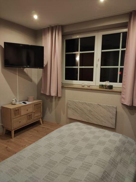 Ferienhaus Blaue Blume Mit 11 Kw Ladestation, Kamin, Terrasse, Eingezaeuntem Garten, Sauna, Wlan, Netflix, 2 Hunde Willkommen! Güntersberge Extérieur photo